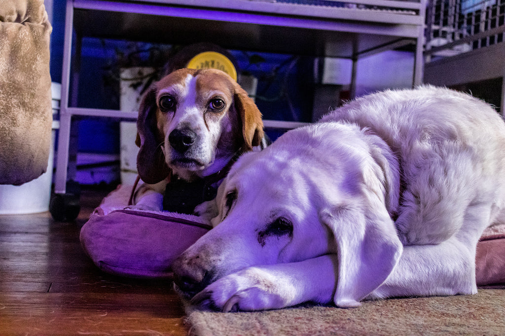 Everyone's getting tired