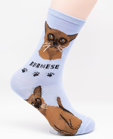 Burmese Socks Cat Breed Foozy Novelty Socks