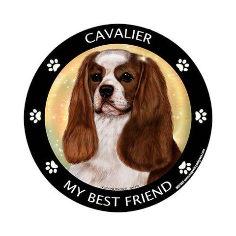 Cavalier King Charles Spaniel My Best Friend Dog Breed Magnet