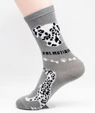 Dalmatian Dog Breed Foozy Novelty Socks