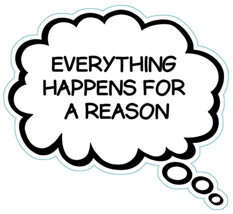 Everything Happens For A Reason Brain Fart Car Magnet