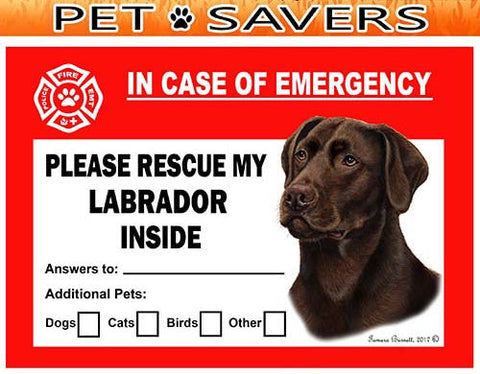 Labrador Chocolate Emergency Window Cling