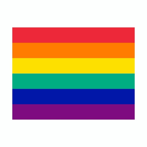 LGBT Pride Rainbow Flag Vinyl Car Sticker