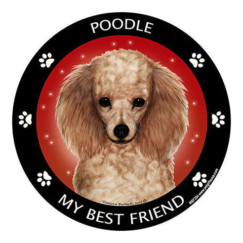 Poodle Apricot My Best Friend Dog Breed Magnet