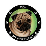 Pug Fawn My Best Friend Dog Breed Magnet