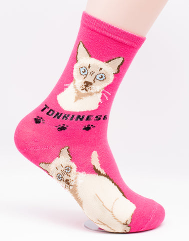 Tonkinese Socks Cat Breed Foozy Novelty Socks