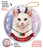 White Shorthair Blue Eye Cat Howliday Cat Christmas Ornament