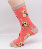 Yorkshire Terrier Dog Breed Novelty Socks