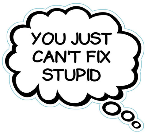 You Just Can't Fix Stupid Brain Fart Car Magnet