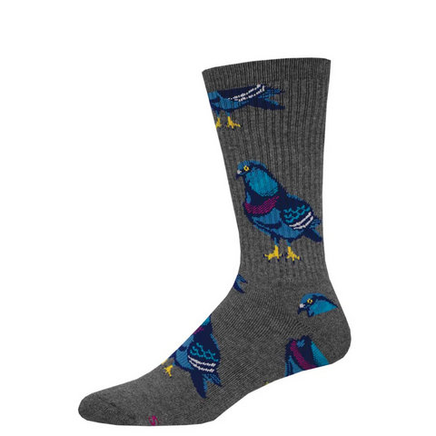 Sly Pigeon Bird Socks