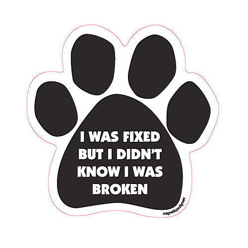 I Was Fixed But I Didn't Know I Was Broken
