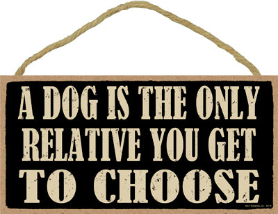 Words Of Wisdom A Dog Is The Only Relative You Get To Choose Wood Sign