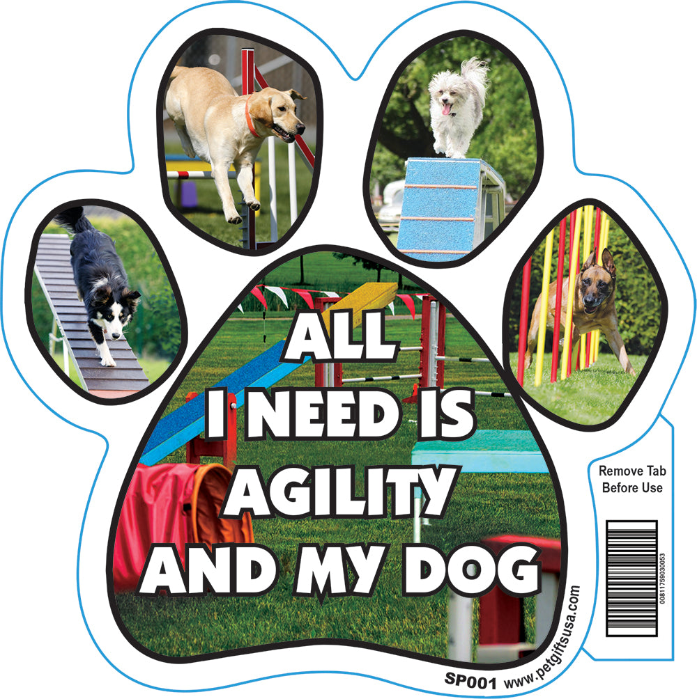 All I Need Dog Paw Magnets Assorted