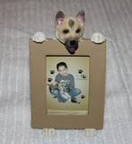 Akita Dog Holding Picture Frame