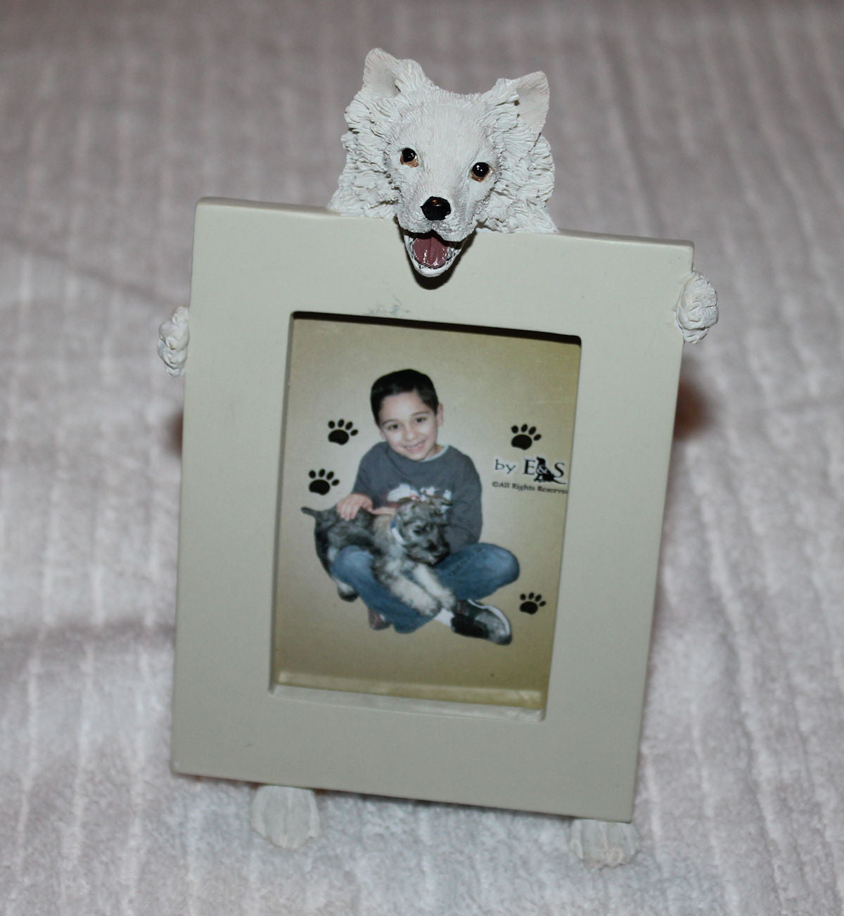 American Eskimo Dog Holding Picture Frame