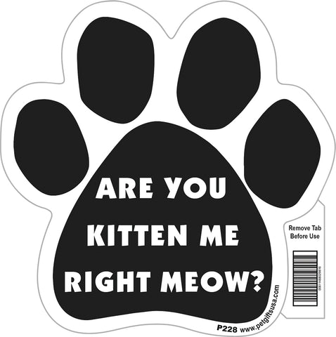 Are You Kitten Me Right Meow Paw Magnet