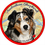 Australian Shepherd Blue Merle Absorbent Porcelain Dog Breed Car Coaster