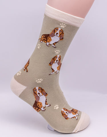 Basset Hound Dog Breed Novelty Socks