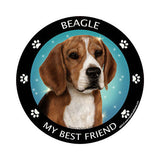 Beagle My Best Friend Dog Breed Magnet