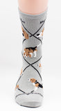 Beagle Dog Breed Novelty Socks