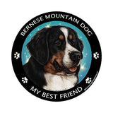 Bernese Mountain Dog My Best Friend Dog Breed Magnet