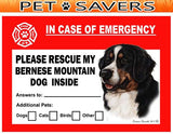 Bernese Mountain Dog Emergency Window Cling