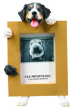 Bernese Mountain Dog Picture Frame Holder