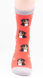 Bernese Mountain Dog Breed Novelty Socks