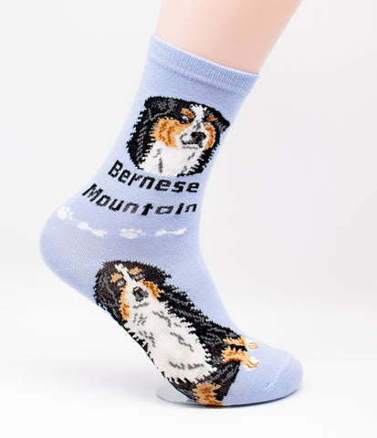 Bernese Mountain Dog Breed Foozy Novelty Socks