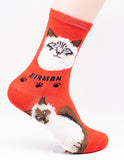 Birman Socks Cat Breed Foozy Novelty Socks