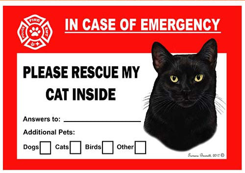 Black Cat Emergency Window Cling