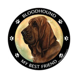 Bloodhound My Best Friend Dog Breed Magnet