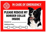 Border Collie Dog Emergency Window Cling