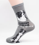 Border Collie Dog Breed Foozy Novelty Socks