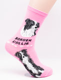 Border Collie Dog Breed Foozy Novelty Socks