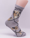 Border Terrier Dog Breed Novelty Socks Gray