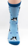 Border Collie Dog Breed Novelty Socks