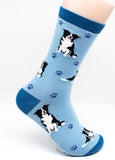 Border Collie Dog Breed Novelty Socks