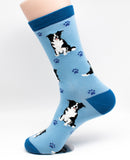 Border Collie Dog Breed Novelty Socks