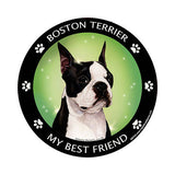 Boston Terrier My Best Friend Dog Breed Magnet