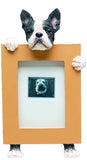 Boston Terrier Dog Picture Frame Holder