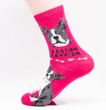 Boston Terrier Dog Breed Foozy Novelty Socks
