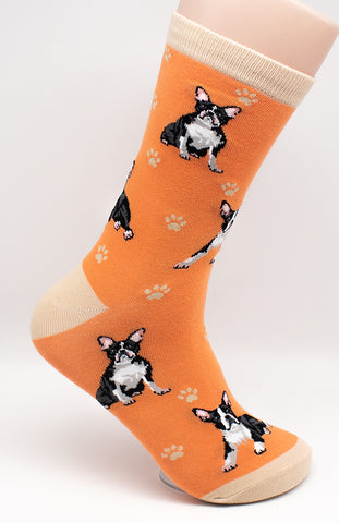 Boston Terrier Dog Breed Novelty Socks