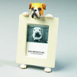 Boxer Fawn Uncropped Dog Picture Frame Holder