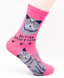 British Shorthair Socks Cat Breed Foozy Novelty Socks