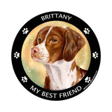 Brittany My Best Friend Dog Breed Magnet