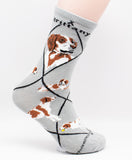 Brittany Dog Breed Novelty Socks