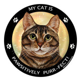 Brown Tabby Cat My Best Friend Dog Breed Magnet