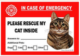 Brown Tabby Cat Emergency Window Cling