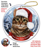 Tabby Brown Cat Howliday Cat Christmas Ornament